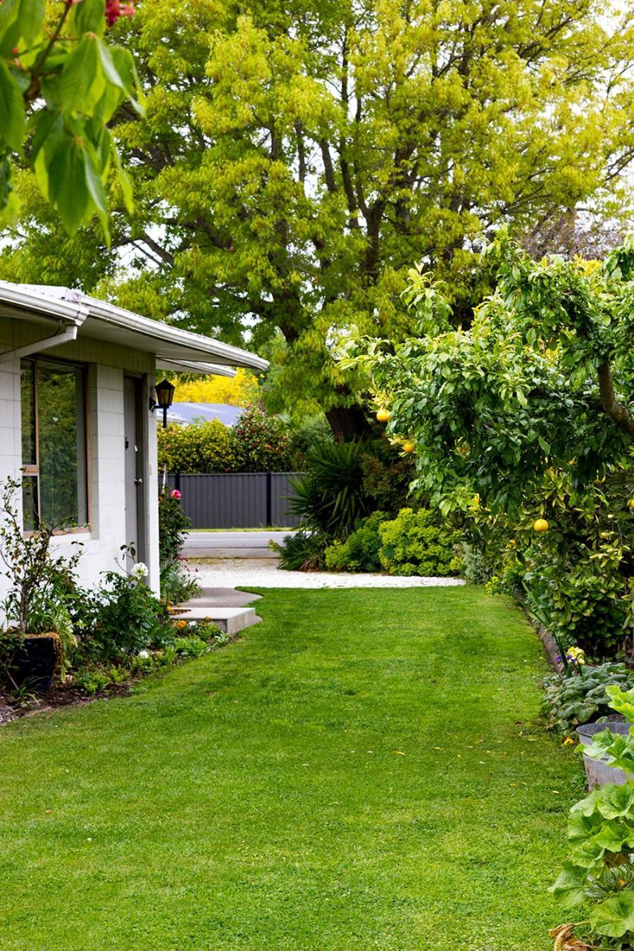 Magnolia House Bed & Breakfast Blenheim Exterior photo