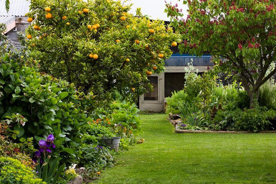 Magnolia House Bed & Breakfast Blenheim Exterior photo