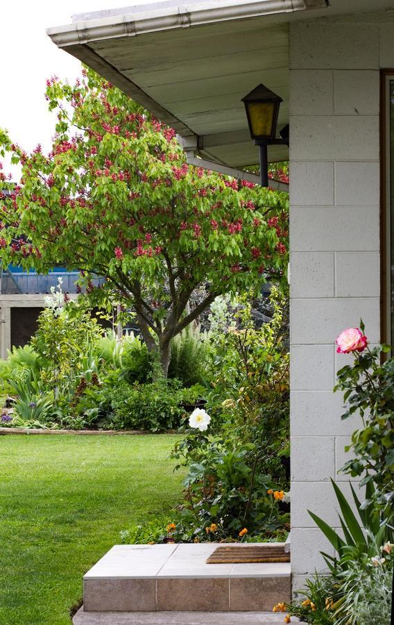 Magnolia House Bed & Breakfast Blenheim Exterior photo