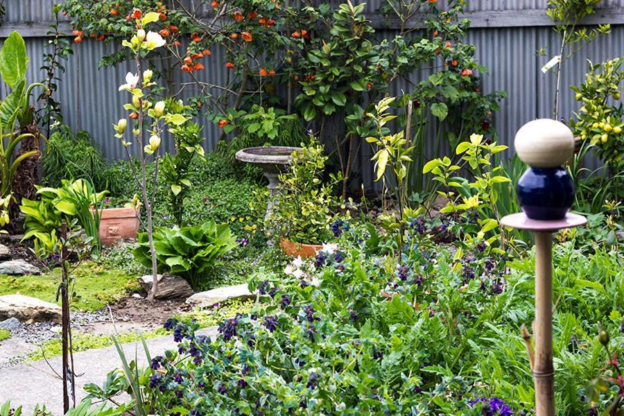 Magnolia House Bed & Breakfast Blenheim Exterior photo